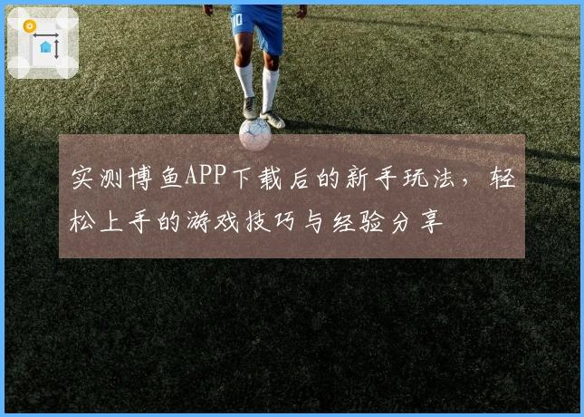 实测博鱼APP下载后的新手玩法，轻松上手的游戏技巧与经验分享