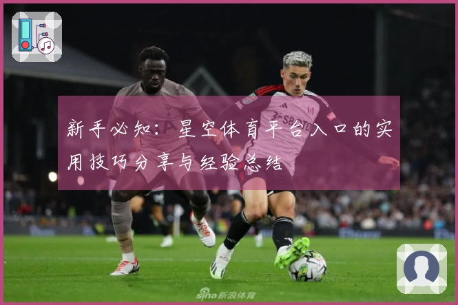 新手必知：星空体育平台入口的实用技巧分享与经验总结